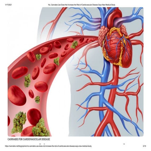 A Guide to Understanding CBD and Heart Risks | PDF