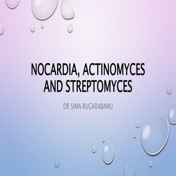 Nocardia, Actinomyces and  Streptomyces Latest1.pptx