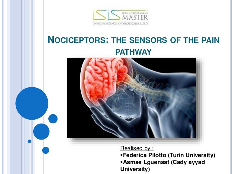 Nociceptors the sensors of the pain pathway