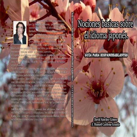 Nociones basicas-sobre-el-idioma-japones