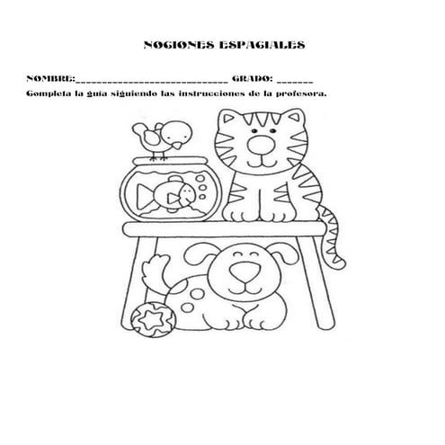 Actividad Nociones espaciales