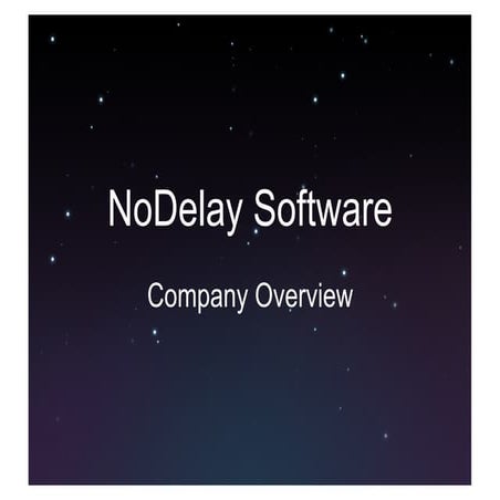 No Delay Software Company Overview