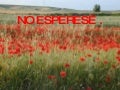 Noesperes