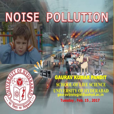 Noise pollution 2017