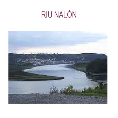 Riu Nalon, Halima