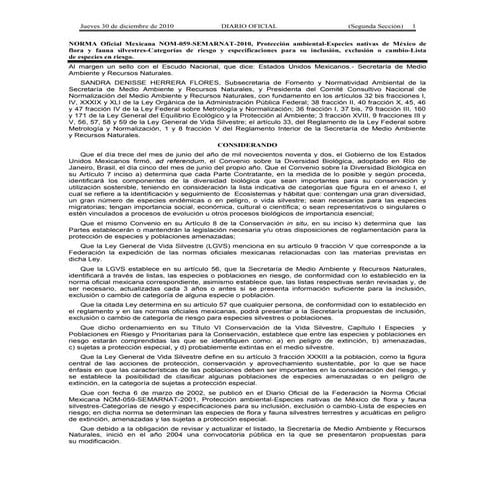 Mapa curricular Educación Básica RIEB | PDF