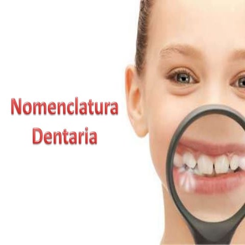 Nomenclaturas Dentarias 