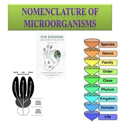 Nomenclature of microorganisms