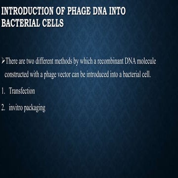 transfection and invitro packaging of phage genome