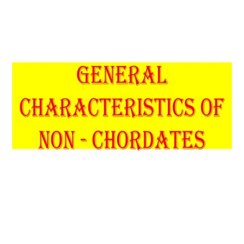 General characteristics of Non-Chordata.pptx