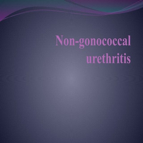 non-gonococcalurethritis.Chronic urethritis where gonococci cannot be ...