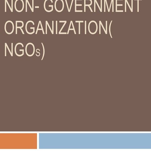 Non  government organization( ng os)