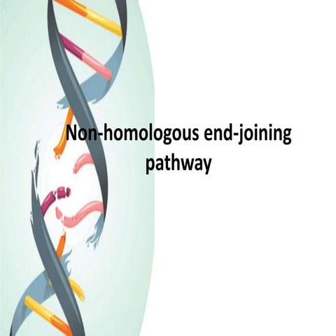 Non homologous end-joining pathway-creative diagnostic 