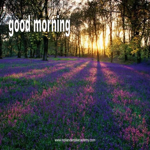 Non rigid connectors in fixed prosthesis / cosmetic dentistry training