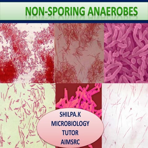 Non sporing anaerobes