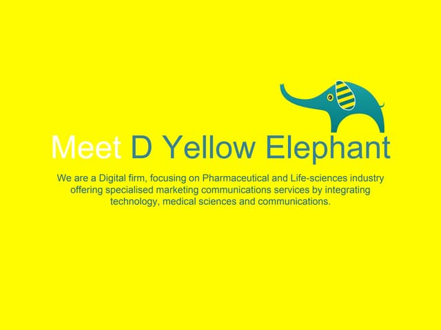 Meet D Yellow Elephant
