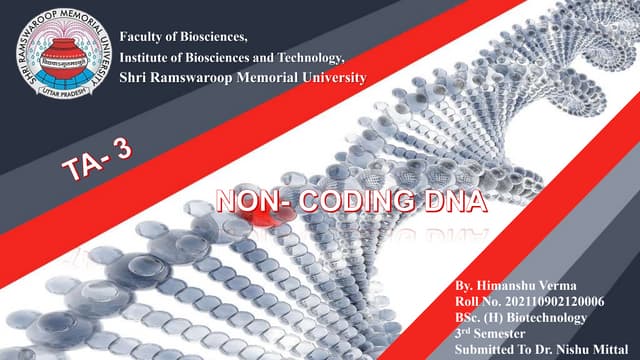 NON CODING DNA.pptx