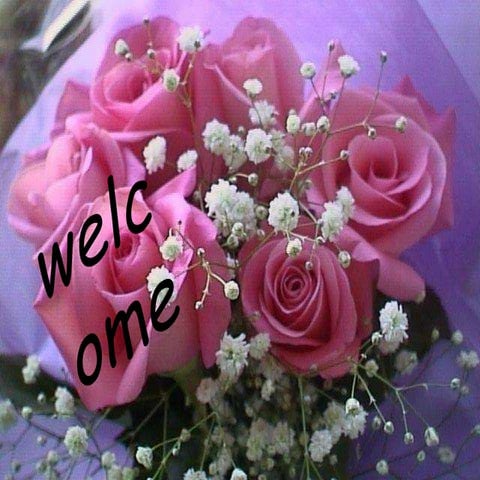 Non experimental design