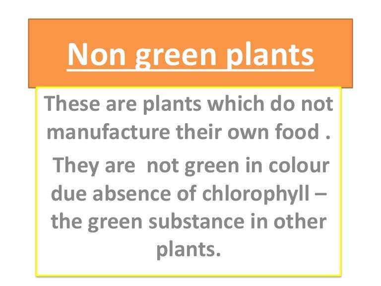 Non green plants