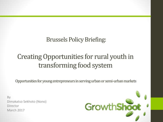 Brussels Briefing 48: Nono Dimakatso Sekhoto "Opportunities for young entrepr...