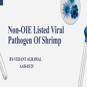 Yellow Head Virus | PPTX