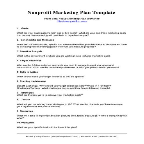 Nonprofit Marketing Plan Template - Summary