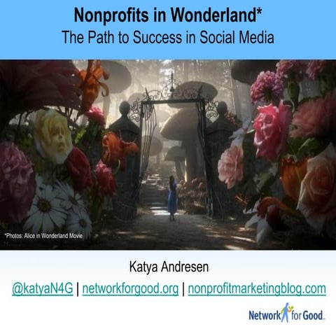 Nonprofits In Wonderland