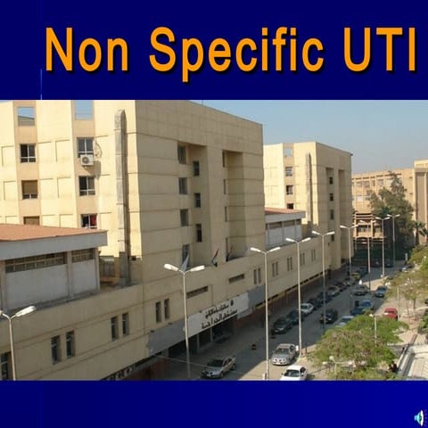 Non Specific Urinary Tract Infection