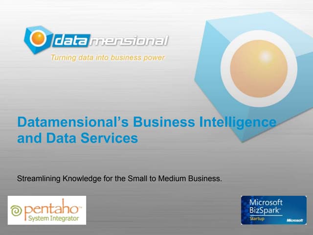 Datamensional Business Intelligence and Data Services