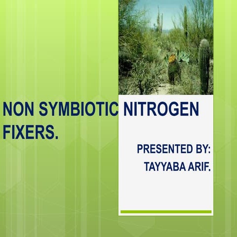 Non symbiotic nitrogen fixers.