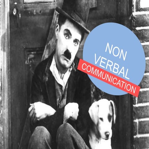 Non verbal communication