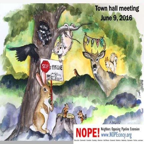 NOPE! Cincy Townhall Presentation
