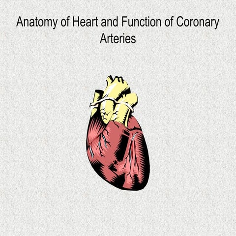 194 anatomy and function of the coronary arteries