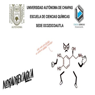 Noradrenalina