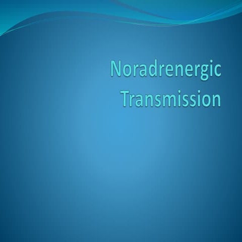 Noradrenergc transmission