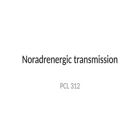 Noradrenergic Transmission in Pharmacology