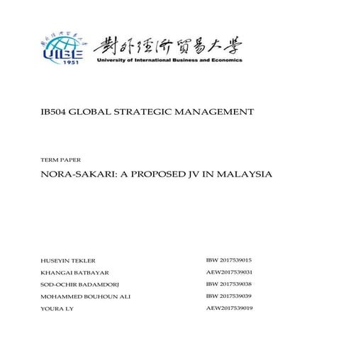 Nora sakari a joint venture