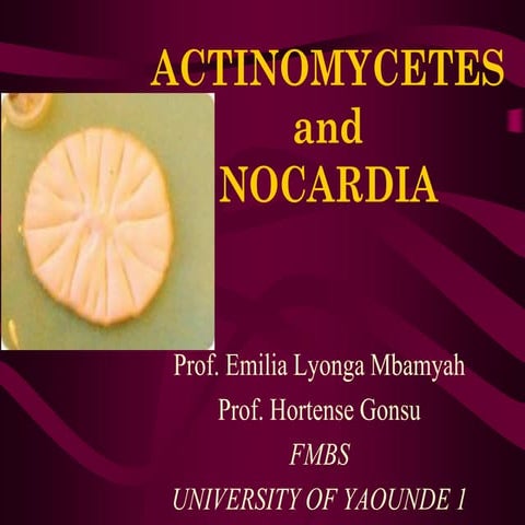 Cours sur Norcardia  simplifier pour étudiants en médecine .pdf