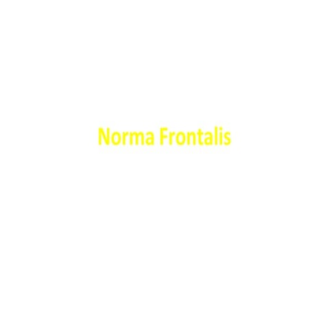 normafrontalis-111118075444-phpapp02.pptx