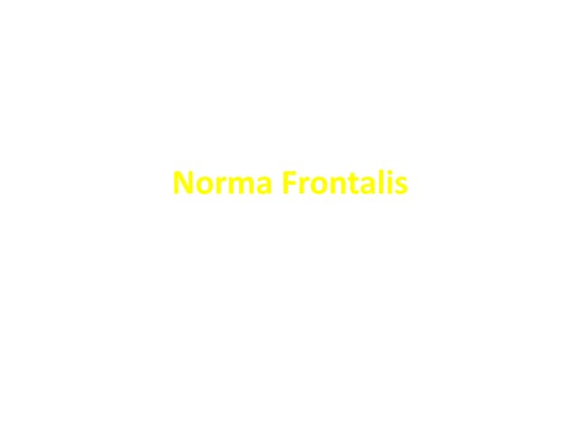 Norma frontalis