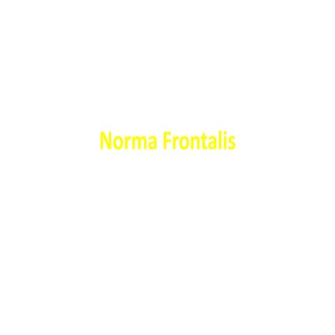 normafrontalis-111118075444-phpapp02 (1).pdf