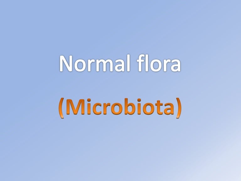 Normal Flora