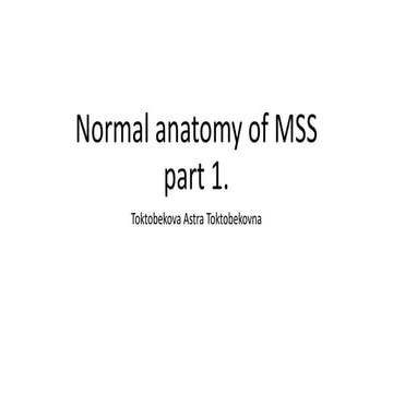 Normal anatomy of MSS part 1.pdf