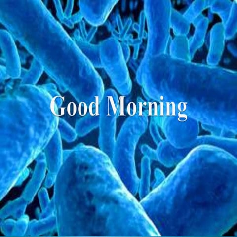 Normal curve in Biostatistics data inference and applications