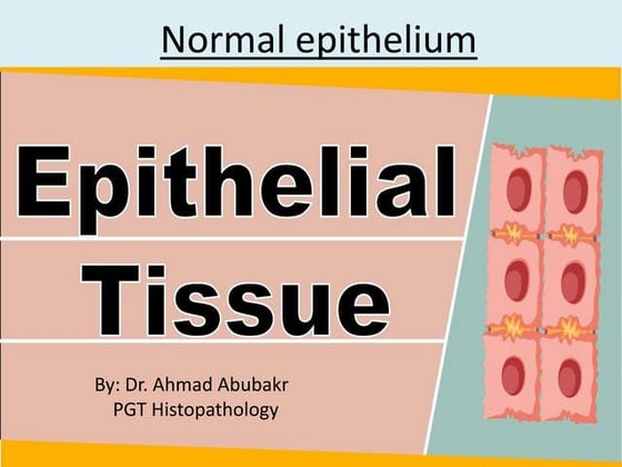 EPITHELIAL TISSUE.pptx