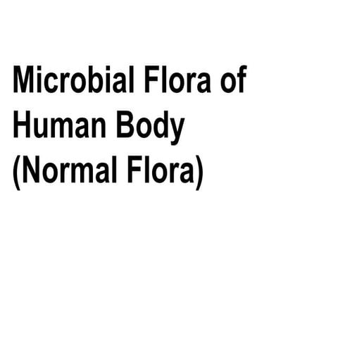 Normal flora(1)