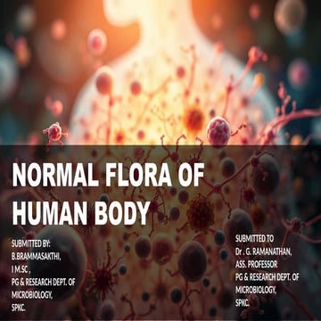 Comprehensive Overview of Human Normal Flora and Microbiome Functions ...
