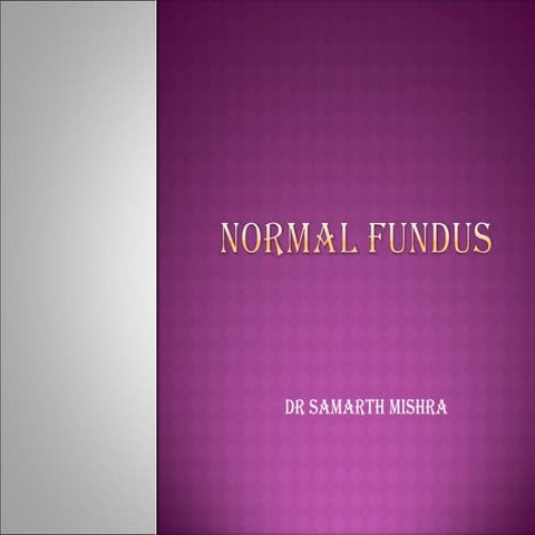 Normal fundus