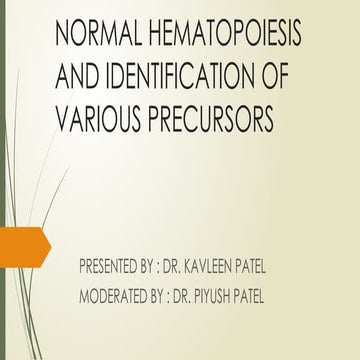 WBC Formation and Regulation physiology. | PPTX