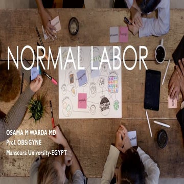 NORMAL LABOR.  WARDA